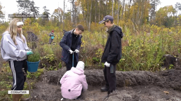 Брянские добровольцы приняли участие в проекте «Посади лес»