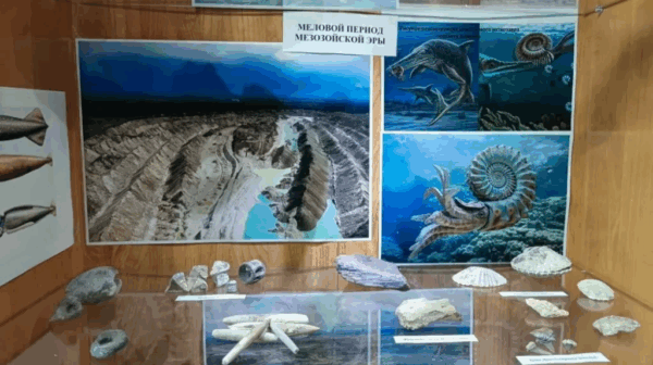 Новый необычный музей появился в брянском Фокино