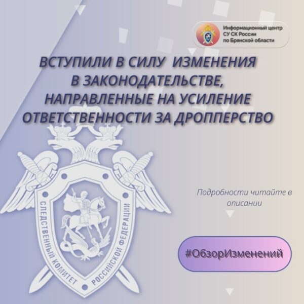 Об изменениях в законодательстве Российской Федерации – в проекте Информационного центра СУ СК России по Брянской области #ОбзорИзменений