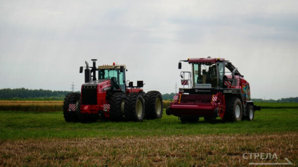 Брянские аграрии собрали рекордный урожай зерновых, картофеля и масличных культур