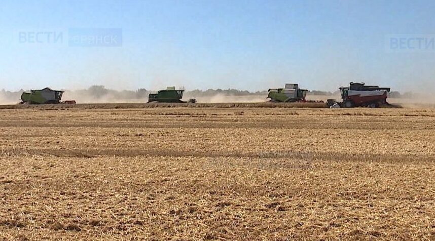 На торжестве в Брянском аграрном университете подведут итоги сельскохозяйственного года