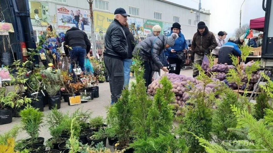 На брянских ярмарках выходного дня жители запасаются дарами полей и огородов