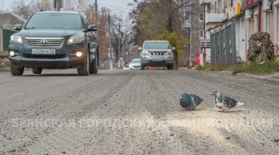 Брянские дорожники капитально ремонтируют улицу Камозина