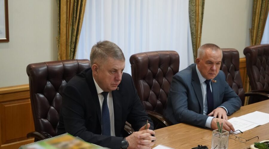 Губернатор Александр Богомаз провел рабочую встречу с Андреем Седовым