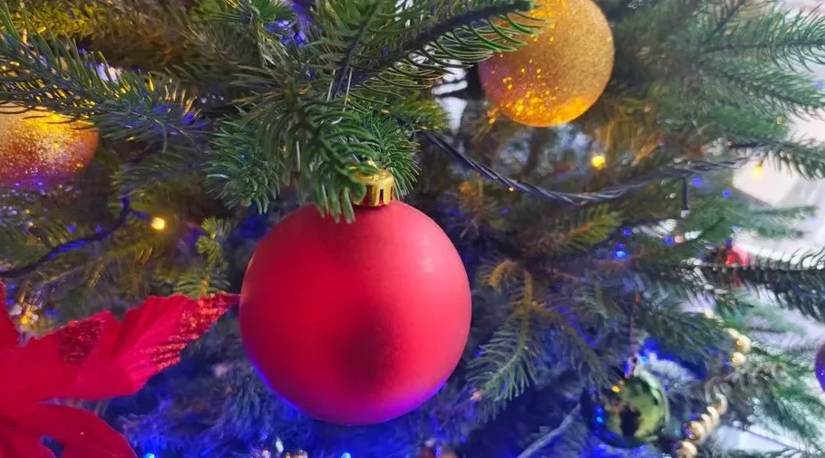 Волонтёры Брянска начали сбор новогодних подарков нуждающимся