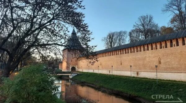 Брянцы могут проголосовать за претендента на звание «Молодежной столицы России 2026»