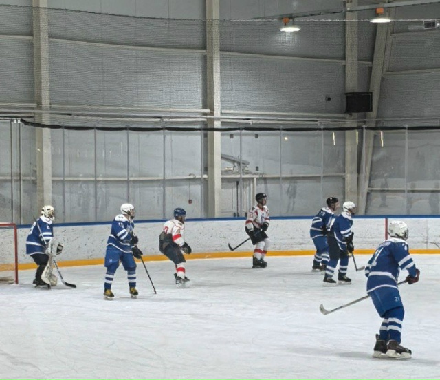 Жуковские хоккеисты в гостях крупно обыграли брянский клуб