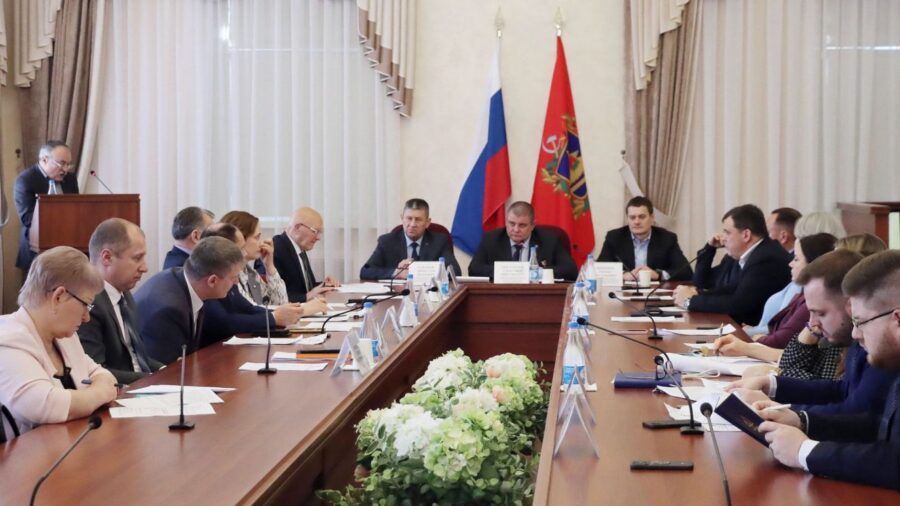 Брянские законодатели обсудили развитие спорта и волонтерства