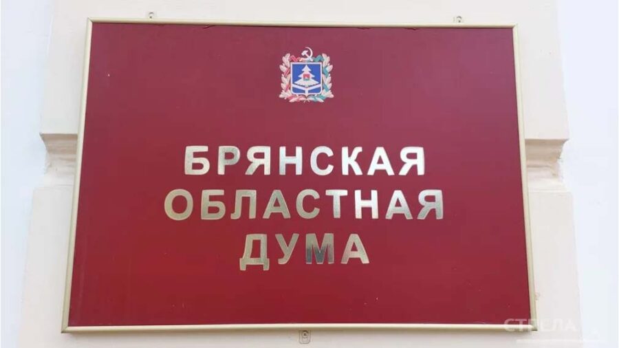 Брянская облдума обсудила меры поддержки многодетных семей и участников СВО