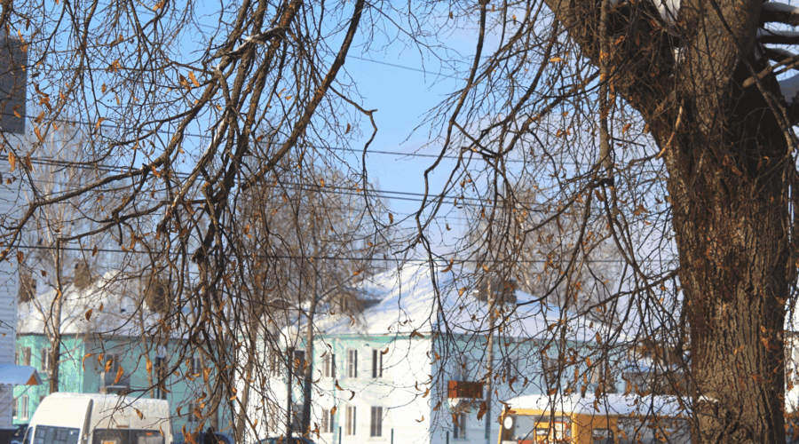 В Жуковке выдался солнечный, тихий, с лёгким морозом день