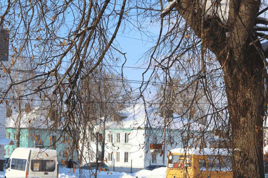 В Жуковке выдался солнечный, тихий, с лёгким морозом день