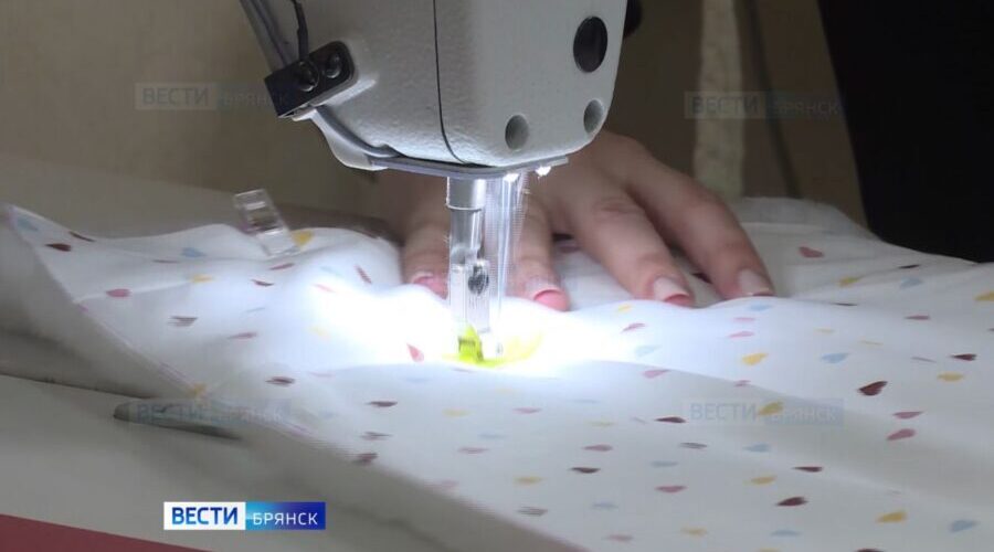 В Брянской области запущен новый этап программы социального контракта