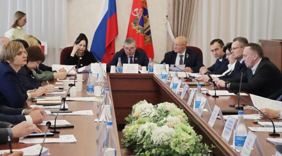 На заседании комитета по вопросам социальной политики и здравоохранения рассмотрели ряд вопросов