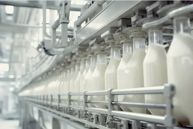 В 2025 году брянские сельхозпредприятия произвели 266 000 тонн молока