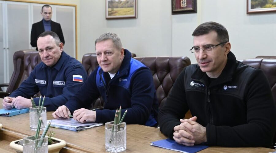 Александр Богомаз провел рабочую встречу с генеральным директором ПАО «Россети Центр»