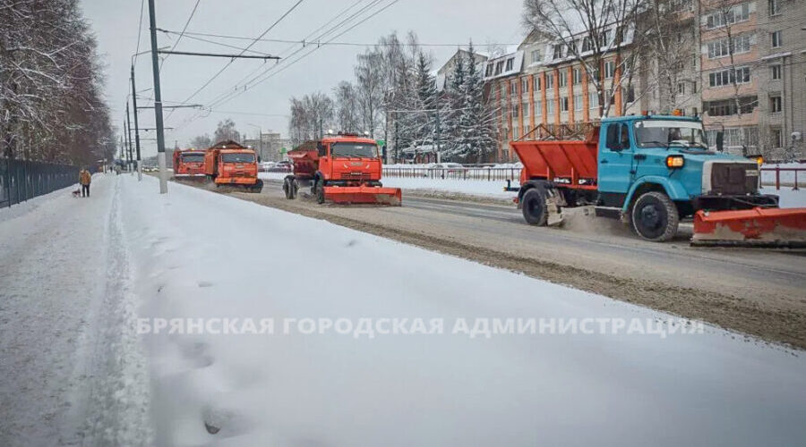 С улиц Брянска вывезено более 4 тысяч тонн снега