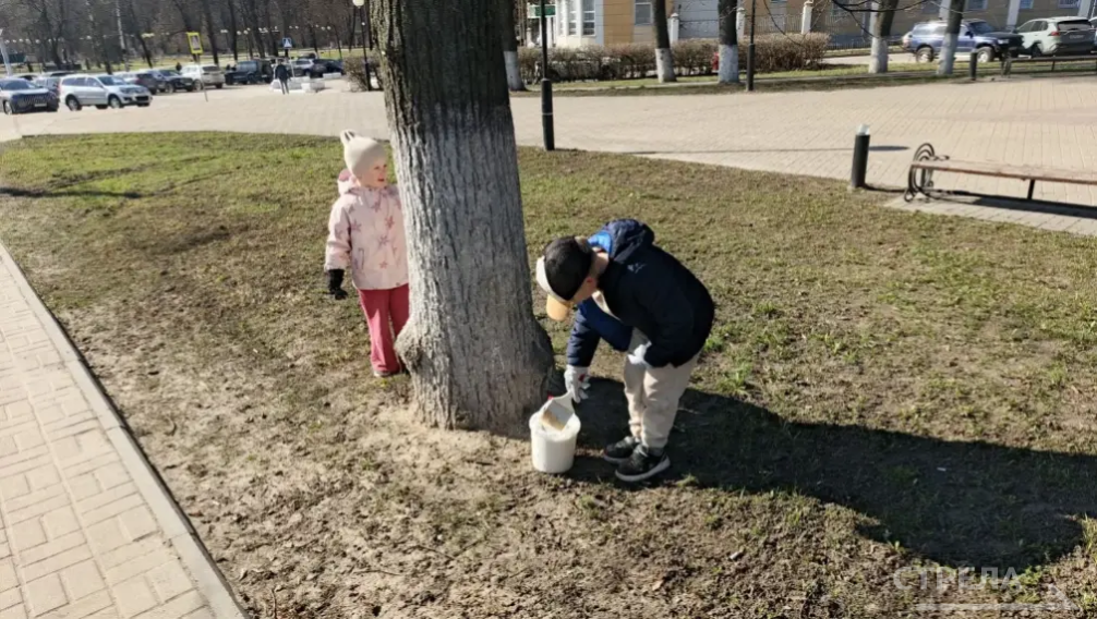 Брянск преобразился благодаря добросовестным участникам субботника