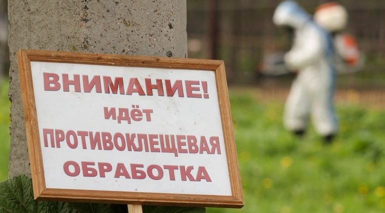 Территорию городского парка в Жуковке обработают от клещей