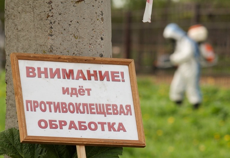 Территорию городского парка в Жуковке обработают от клещей