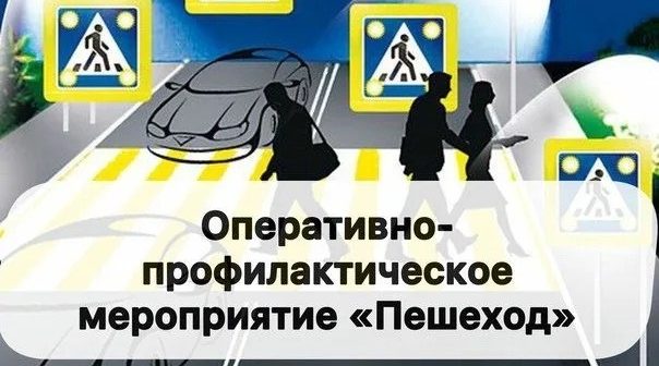 Оперативно-профилактическое мероприятие «Пешеход»