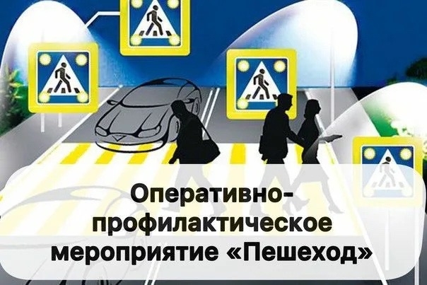 Оперативно-профилактическое мероприятие «Пешеход»