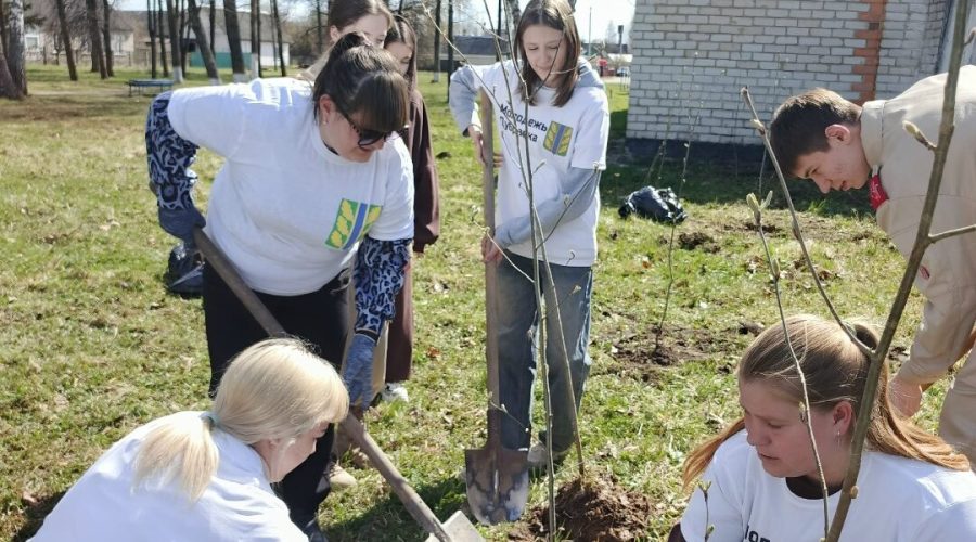Молодёжь Дубровского района приняла участие во Всероссийской акции «Сад Памяти»