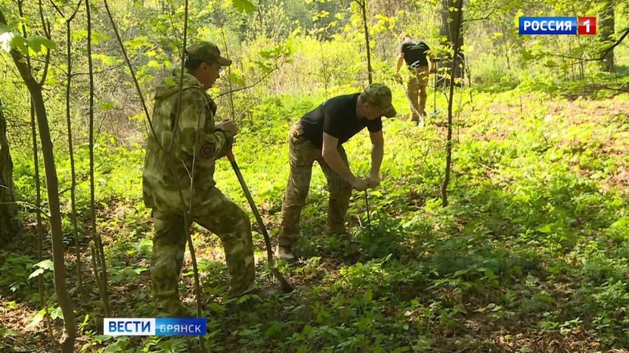 Поисковики обследуют урочище «Лесные сараи» в Брянске