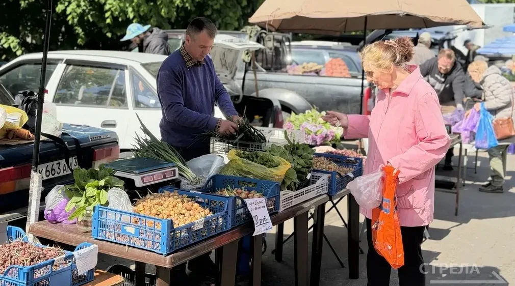 Брянские фермеры на ярмарке предлагают овощи, зелень, сыр и мёд