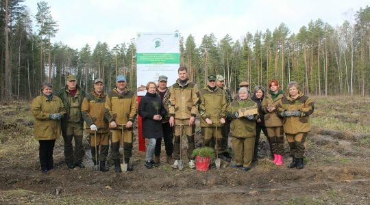 В рамках акции «Сад памяти» сотрудники Жуковского лесничества высадили более 2000 деревьев