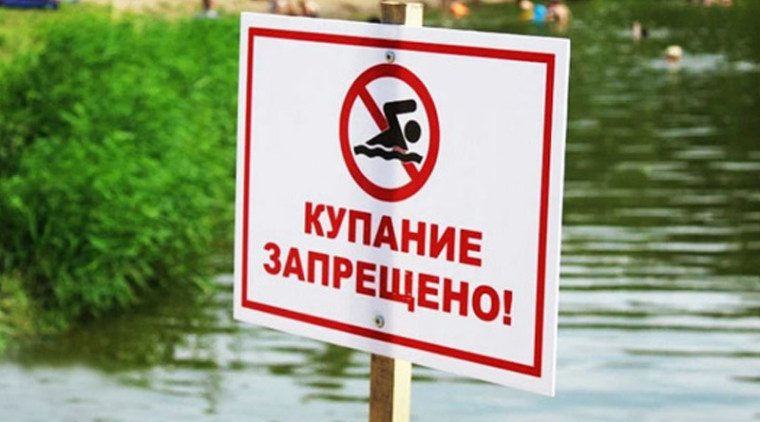 «Зеленый пляж» в Жуковке временно закрыт для купания