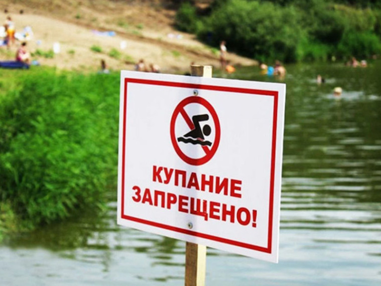 «Зеленый пляж» в Жуковке временно закрыт для купания