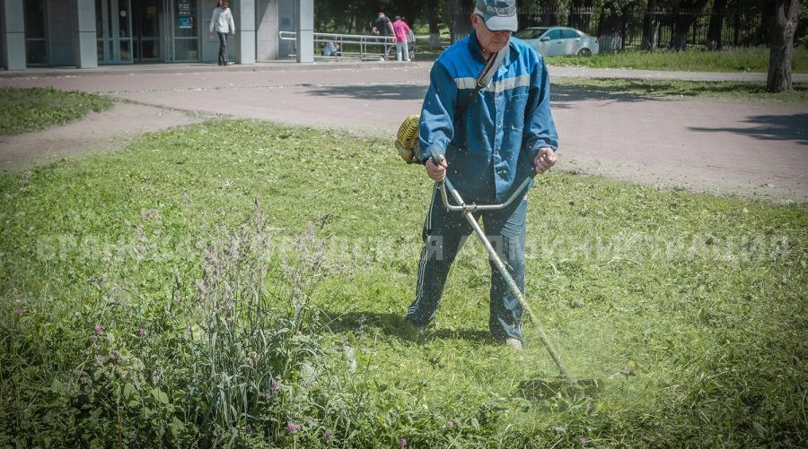 За выходные в Брянске скосили более 115 тысяч квадратных метров травы