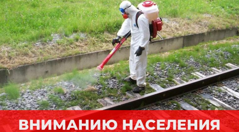 Железнодорожники проведут гербицидную обработку сорной растительности