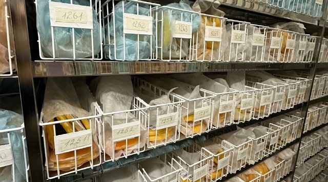 Брянскую станцию переливания крови за неделю посетили более 600 человек