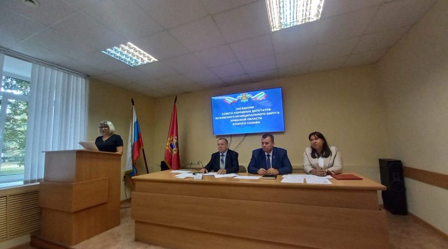 Депутаты подвели итоги социально-экономического развития Жуковского округа за полугодие