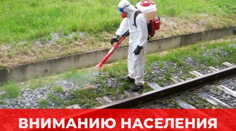 Железнодорожники проведут гербицидную обработку