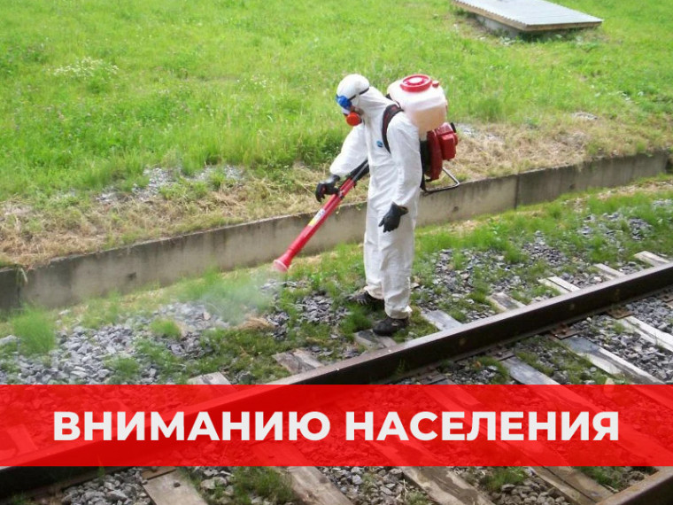 Железнодорожники проведут гербицидную обработку