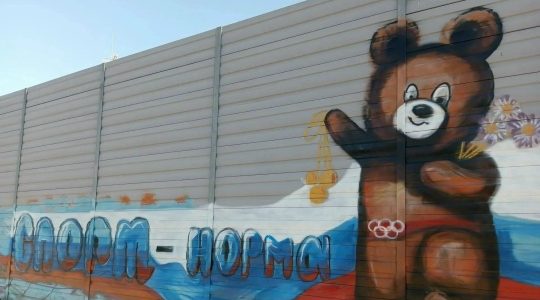 В Брянске федеральный проект «Спорт — норма жизни» отметили ярким граффити