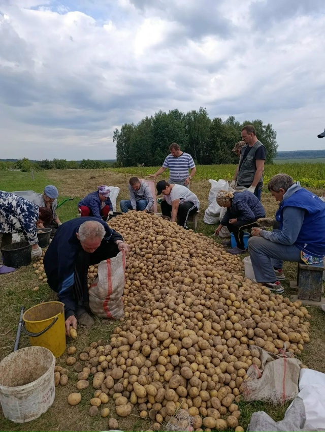 Сбор урожая в Доме социального обслуживания