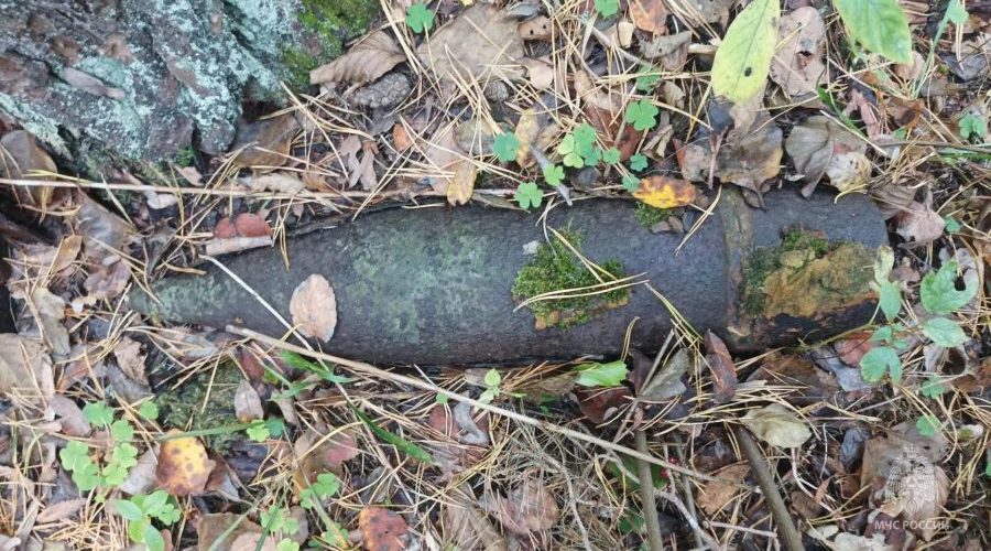 В Жуковском округе обезврежен взрывоопасный предмет