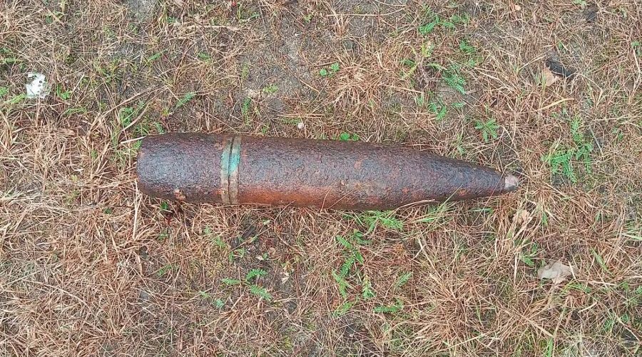 В Жуковском округе обезврежен взрывоопасный предмет