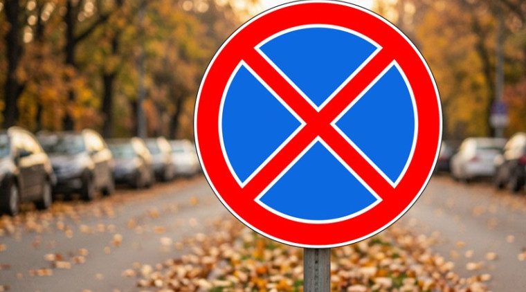 Временное ограничение на остановку и стоянку транспортных средств