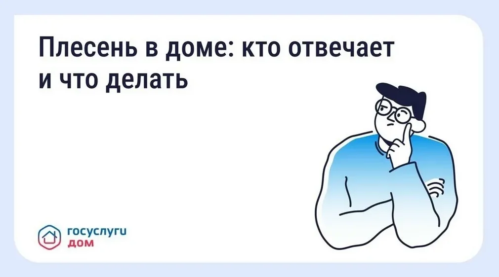 Брянцам рассказали, как устранить плесень в квартире