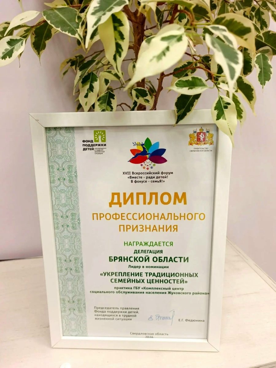 Профессиональное признание Центра социального обслуживания