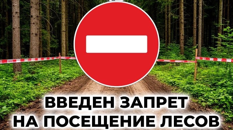 В Жуковском округе погиб мирный житель