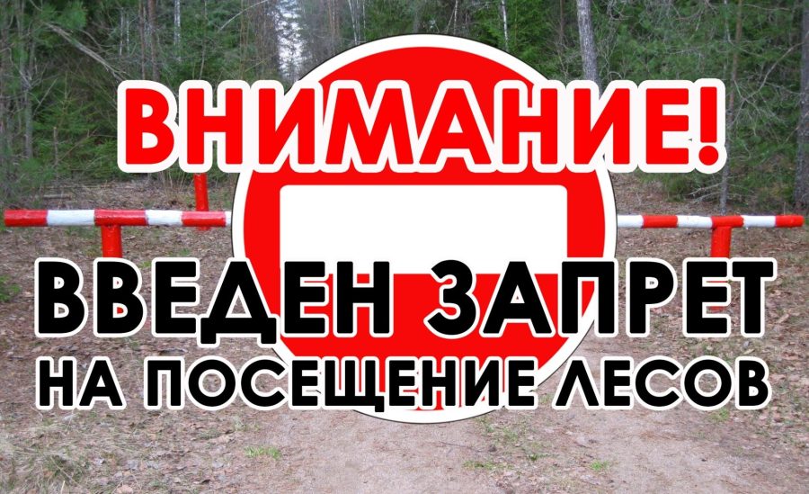 В Жуковском округе введены ограничения на посещение лесов